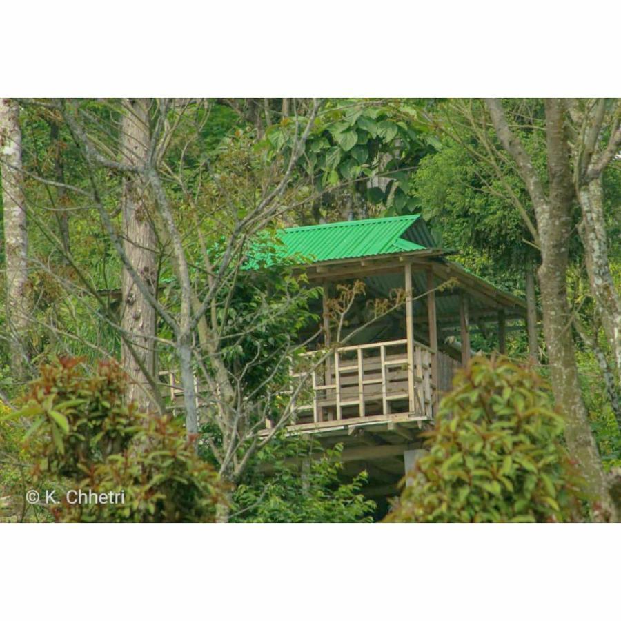 Suma Aavaas Farmstay Darjeeling  Buitenkant foto